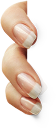 fingers